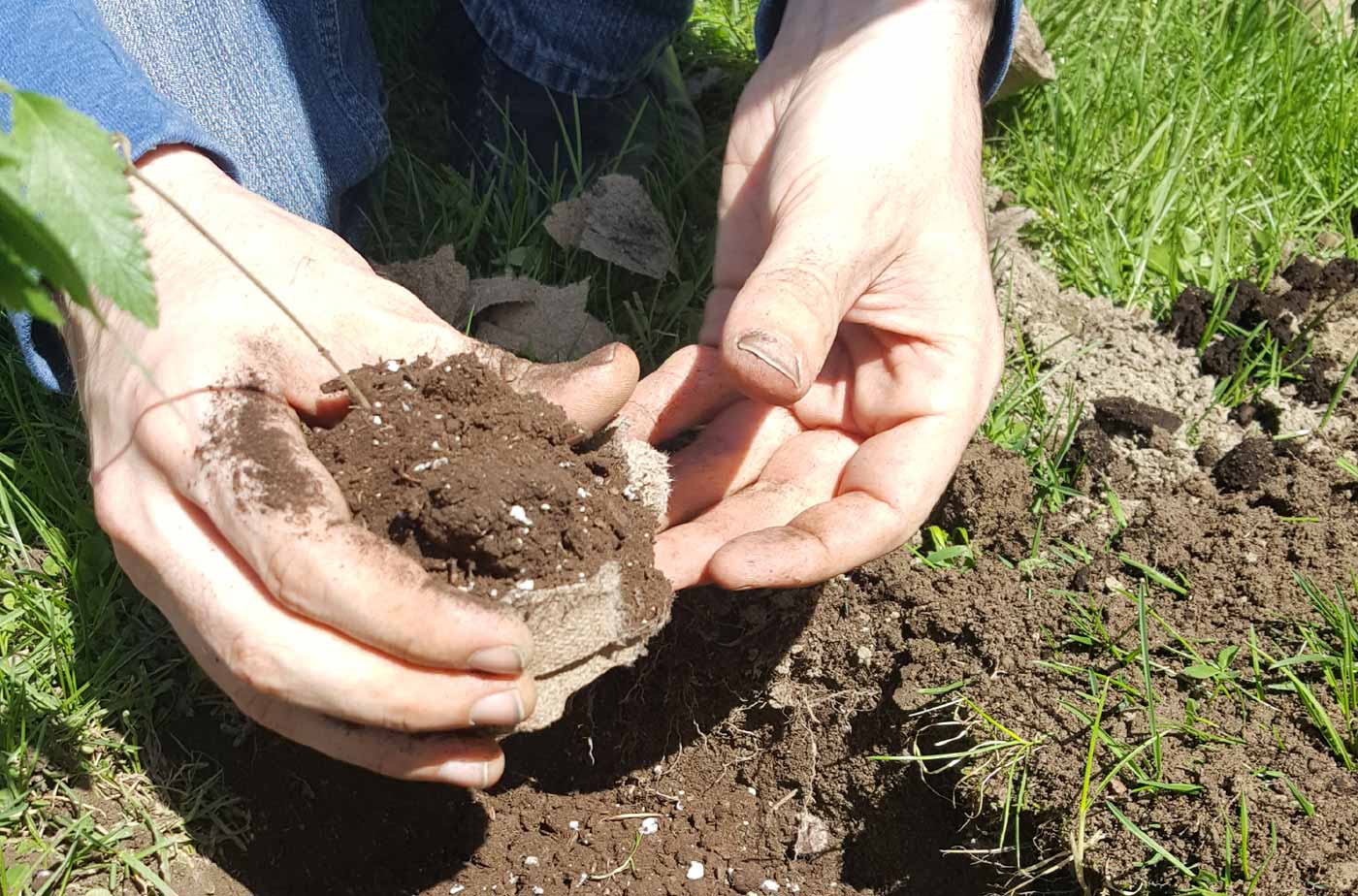tearing cover off of plant