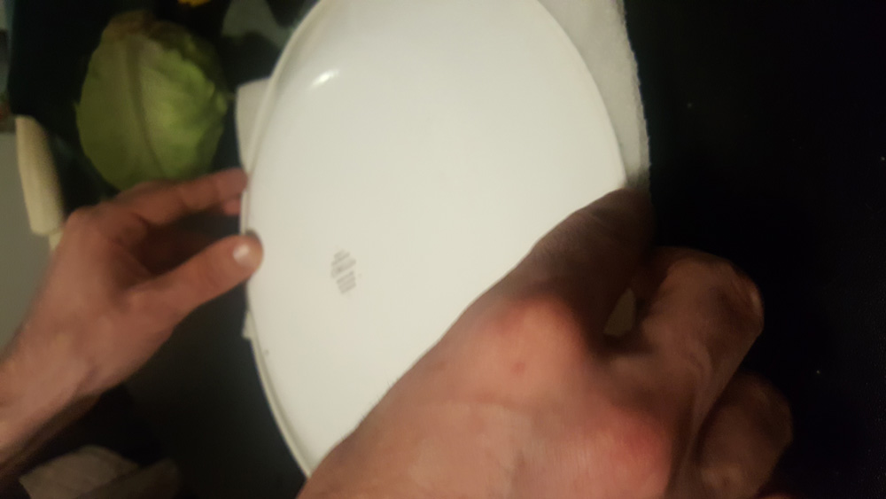 covering seeds with plate