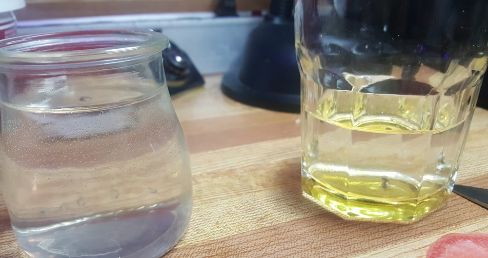 Seeds floating in a glass of water